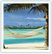 Maldivian Sunshine